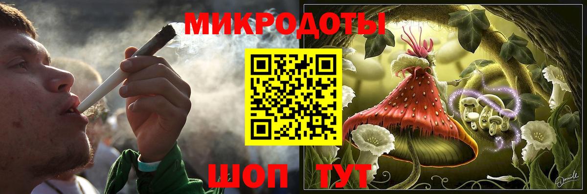Псилоцибиновые грибы Psilocybe  Вход с VPN  Кохма 